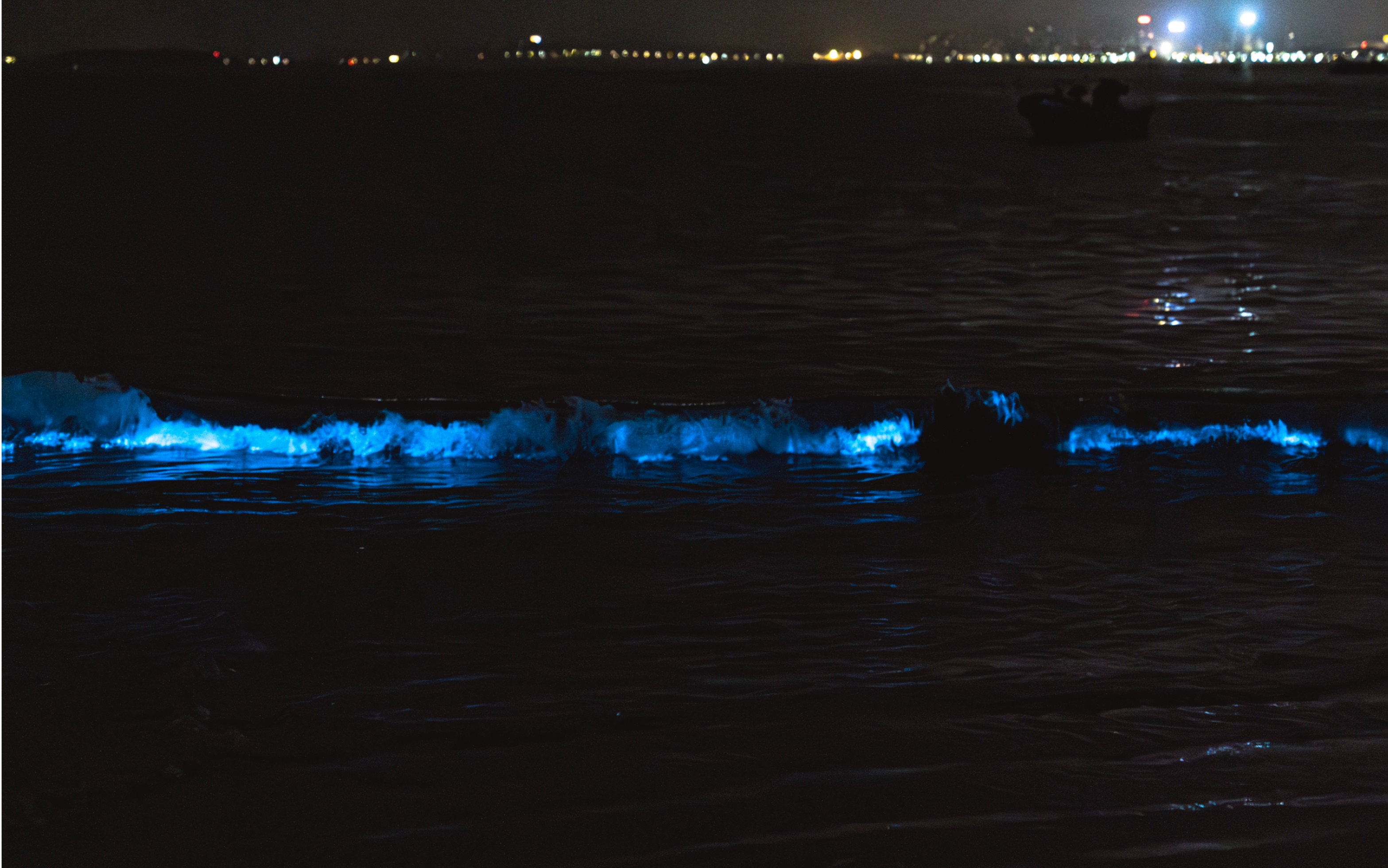 我在平潭看蓝眼泪!