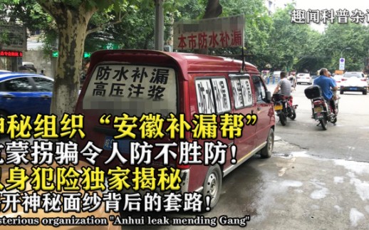 神秘组织“安徽补漏帮”,坑蒙拐骗全国乱跑,背后隐藏着什么?哔哩哔哩bilibili