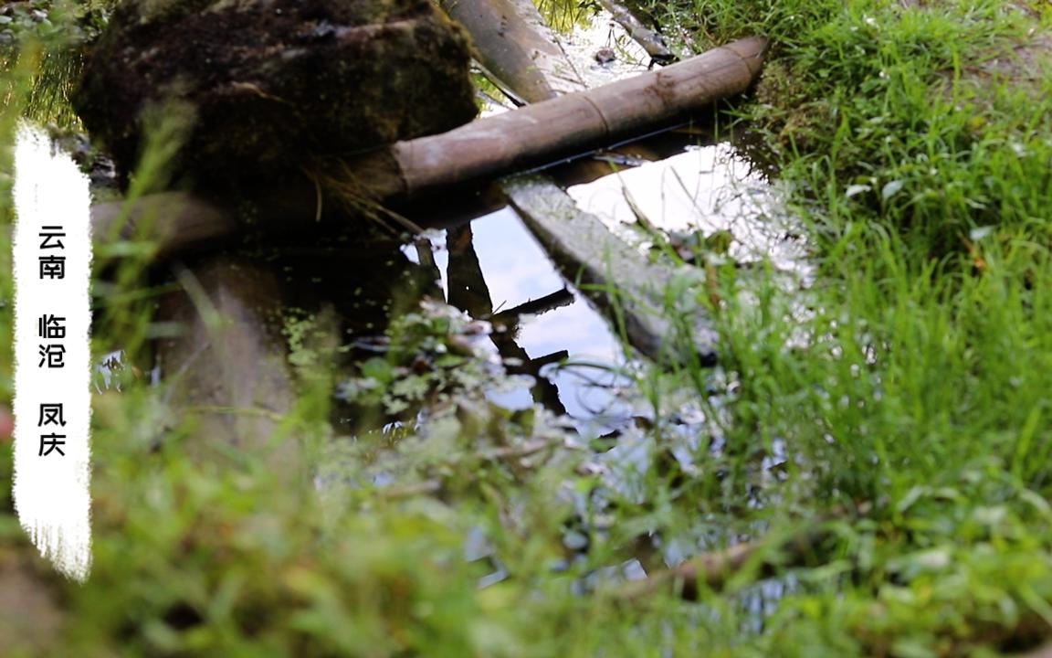 [图]5分钟，进来呼吸茶山春天的空气