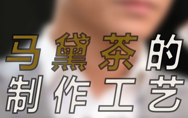 马黛茶小知识之马黛茶的制作工艺哔哩哔哩bilibili