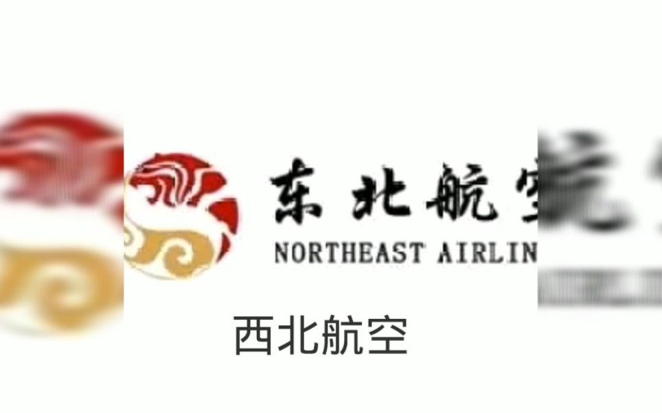 当各航空公司名字被翻译20遍后(第八期)哔哩哔哩bilibili