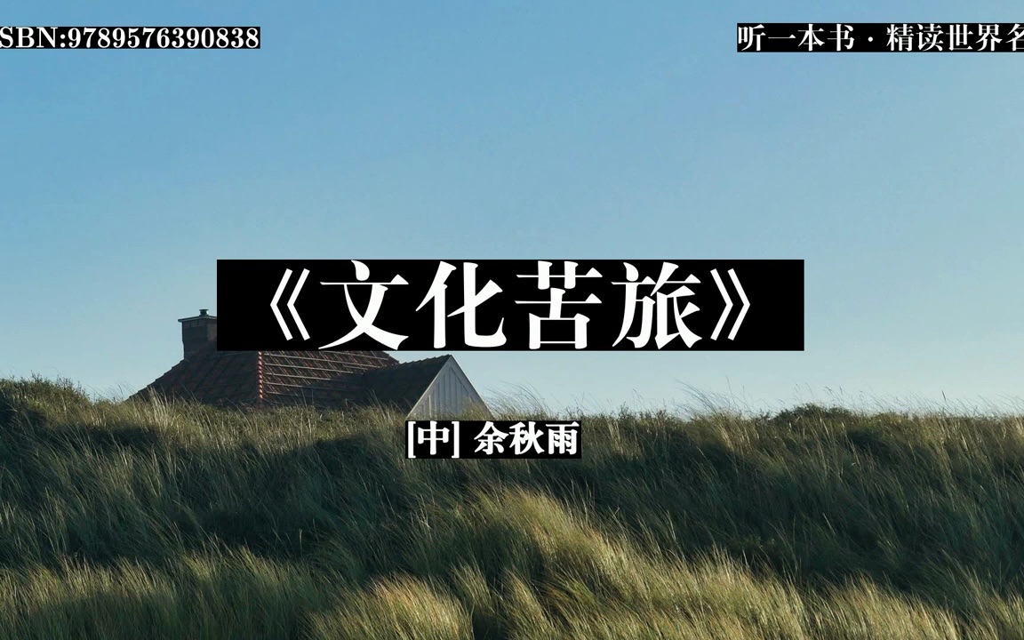 听一本书|《文化苦旅》文化的旅程是苦是涩,在这千年的叹息中讲述苦旅|#听一本书 #文化苦旅 #读书 #有声书哔哩哔哩bilibili