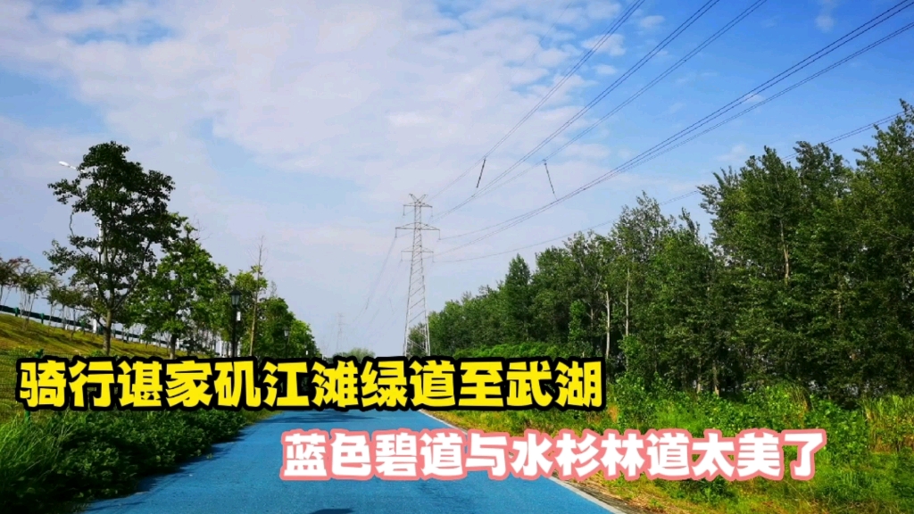 骑行武汉谌家矶江滩绿道至武湖农场,长江新区一路风景美不胜收哔哩哔哩bilibili