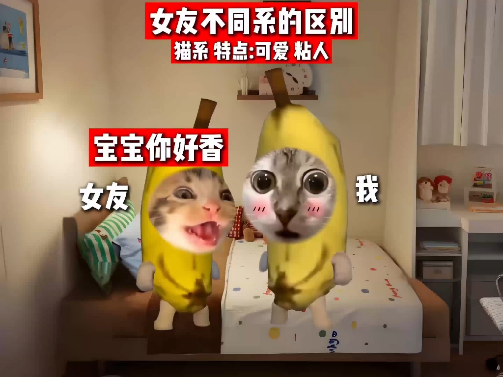 女友不同系的区别