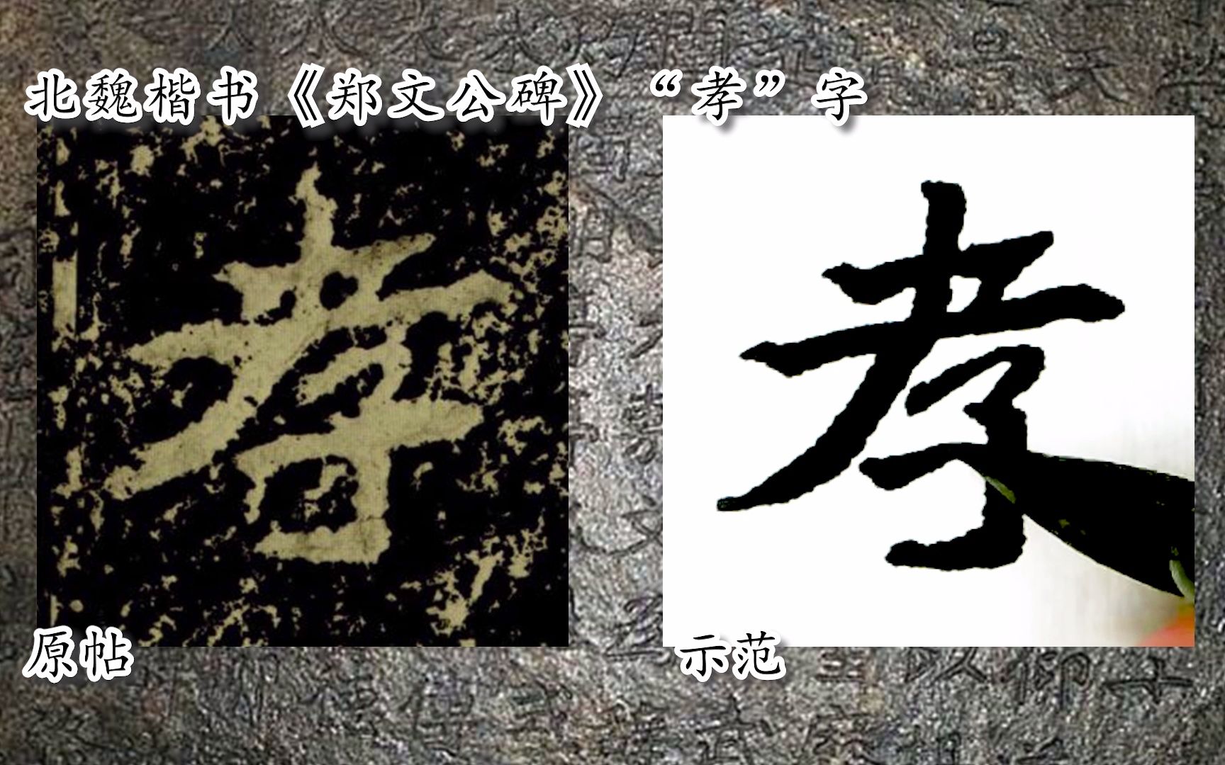 [图]【每日一字】书法视频，周东芬临北魏楷书《郑文公碑》“孝”字