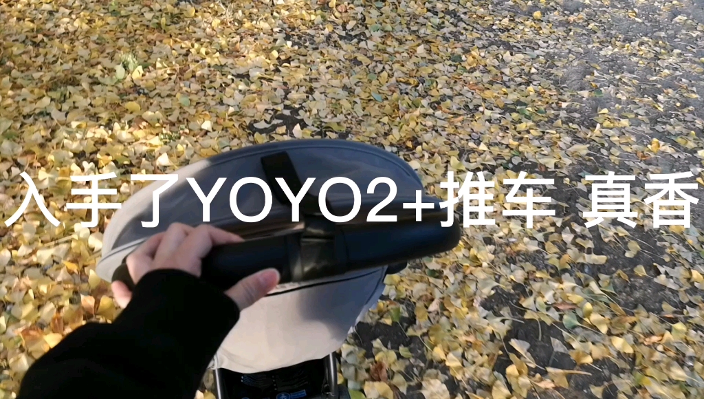 yoyo2+婴儿推车太顺滑了/强烈推荐/终究还是买了,一岁以上需要一辆可登机轻便的伞车哔哩哔哩bilibili