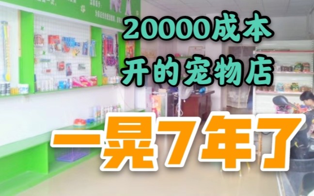 一贫如洗的宠物店 熬了7年才有现在的样子哔哩哔哩bilibili