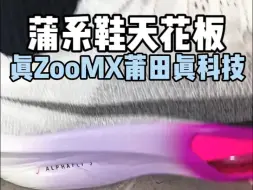 下载视频: 学生党只穿蒲系鞋！真ZoomX真碳板！这才是天花板（实拍评测）