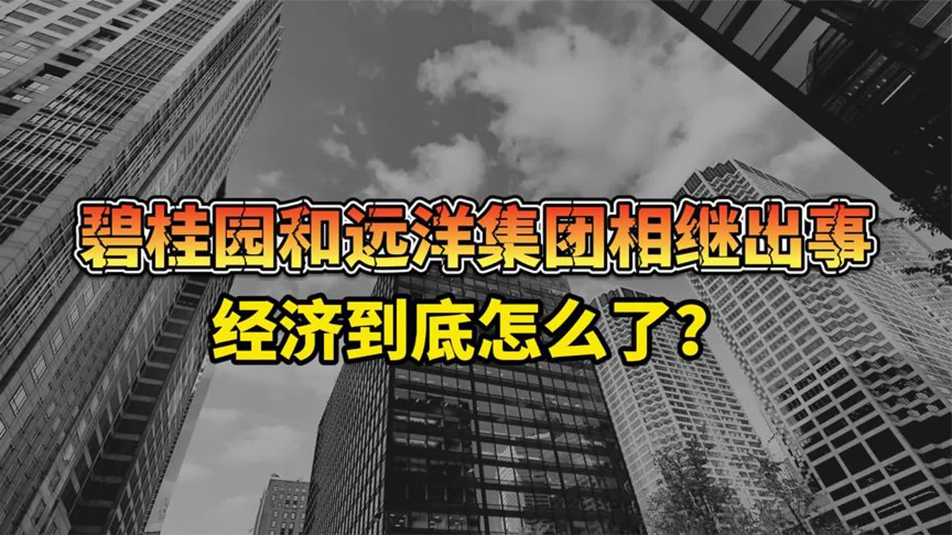 碧桂园和远洋集团相继出事,经济到底怎么了?哔哩哔哩bilibili