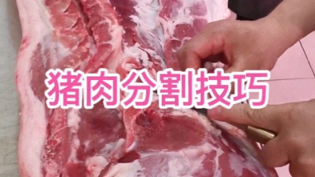 猪肉分割技巧哔哩哔哩bilibili