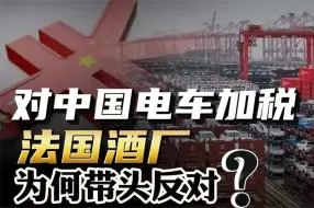 Descargar video: 大规模抗议！法国对中国电车加税，为啥法国酒厂带头反对？