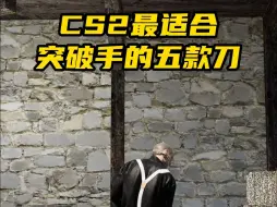 Download Video: CS2最适合突破手的5款刀，选对了你也是NIKO!