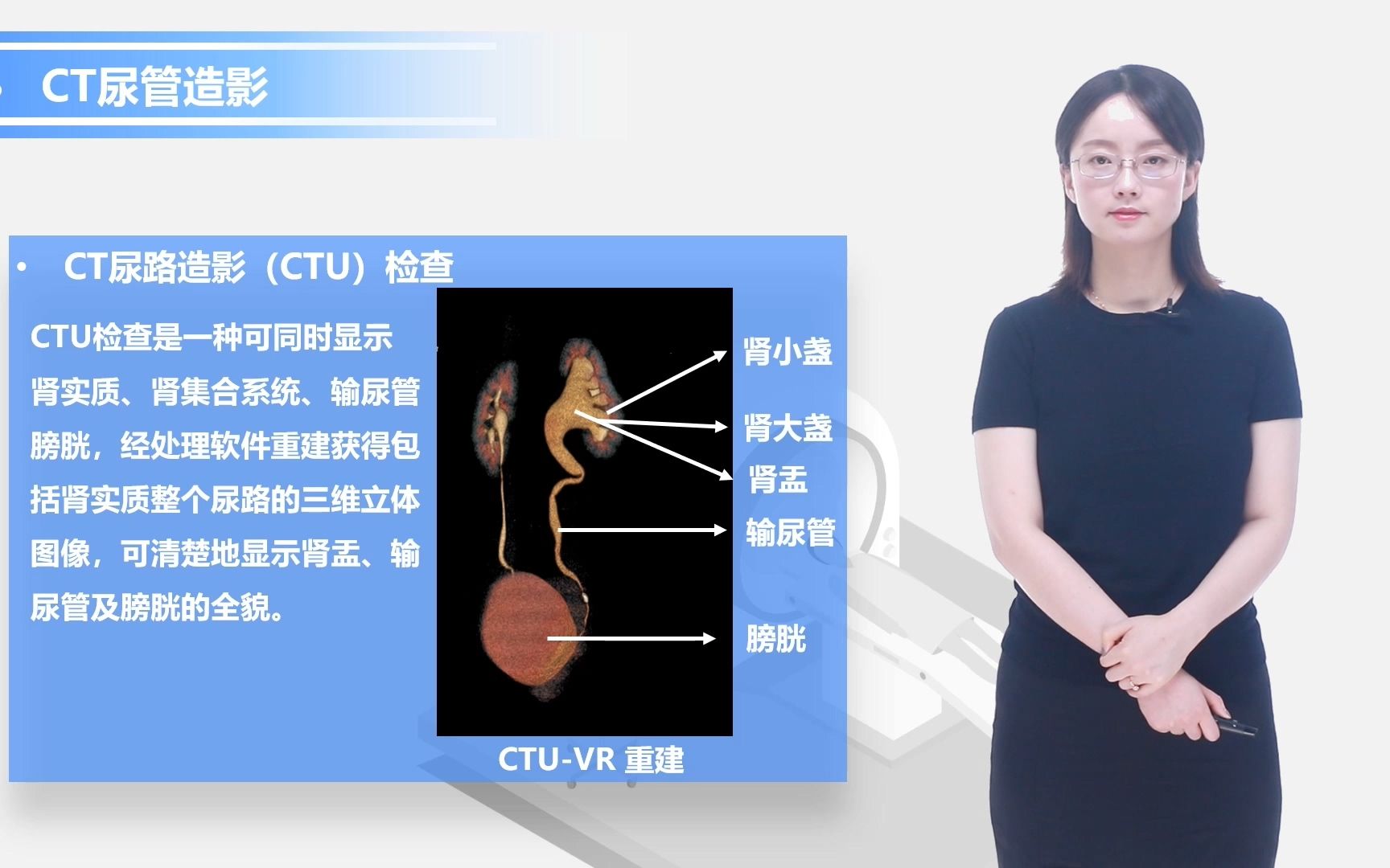 22肾脏影像解剖哔哩哔哩bilibili