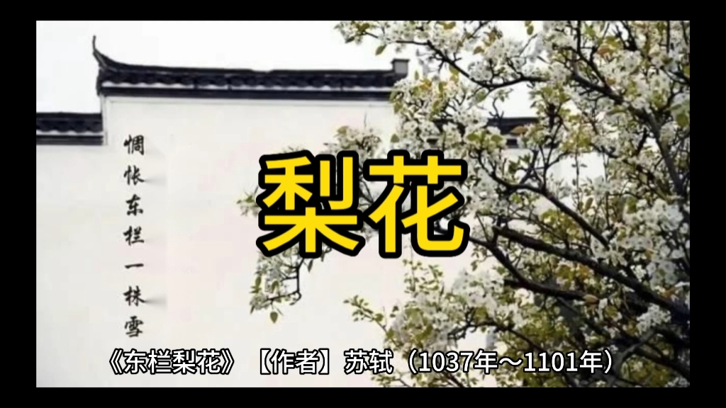 《东栏梨花》【作者】苏轼(1037年~1101年)原文:梨花淡白柳深青,柳絮飞时花满城.惆怅东栏一株雪,人生看得几清明.哔哩哔哩bilibili