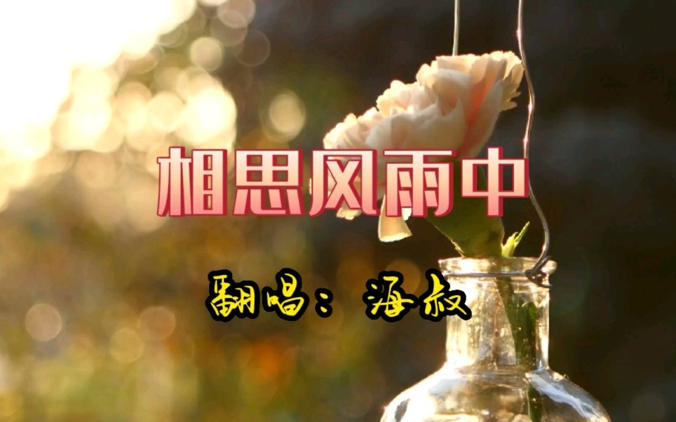 经典粤语老歌欣赏一下相思风雨中