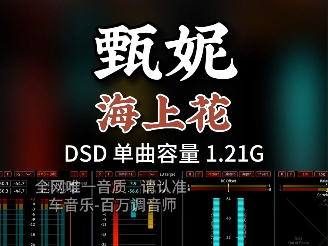 经典老歌,甄妮代表作之一,《海上花》DSD完整版1.21G,百万调音师专业录音棚制作,顶级hifi无损音质哔哩哔哩bilibili