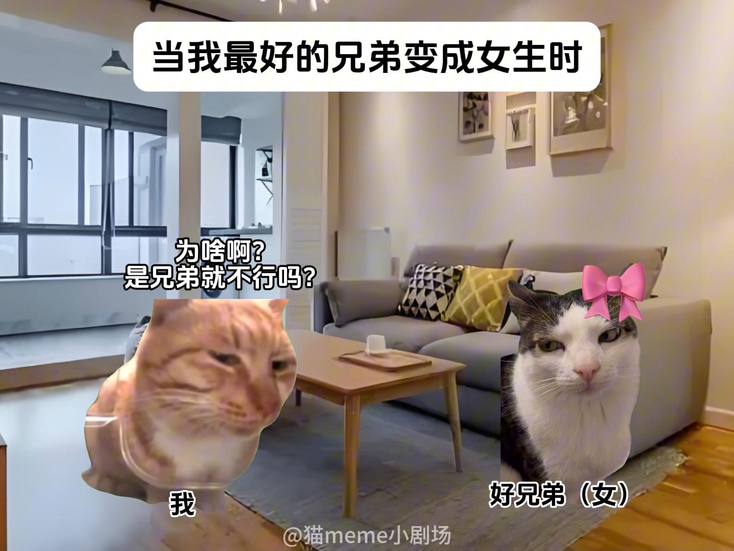 当我最好的兄弟变成女生时