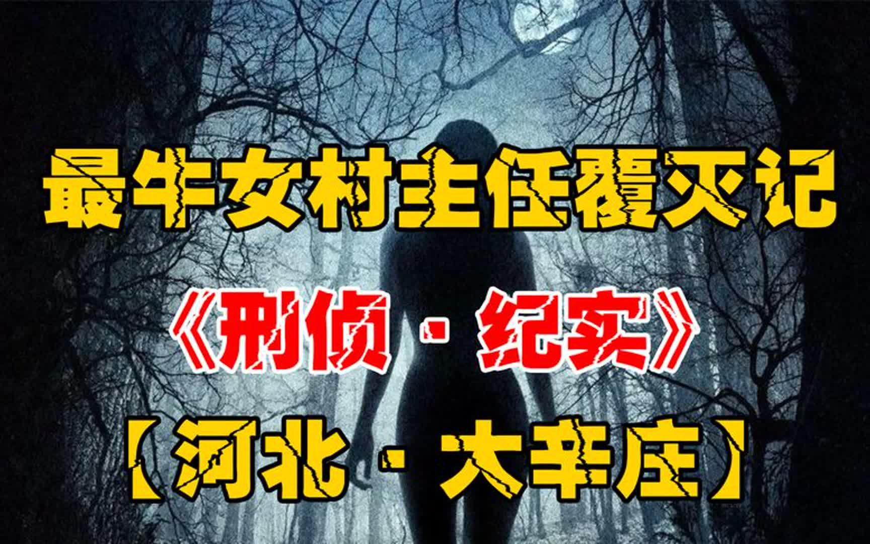 河北最牛女村主任覆灭记