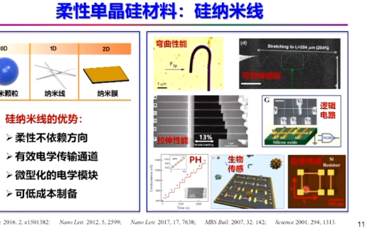 20210816苏州大学张丙昌厘米长硅纳米线的可控制设备及其柔性传感应用研究哔哩哔哩bilibili