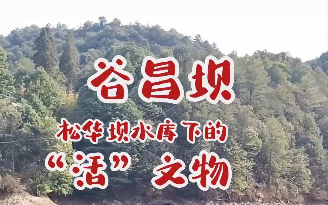 [图]谷昌坝，松华坝水库下的“活”文物，你见过没有？