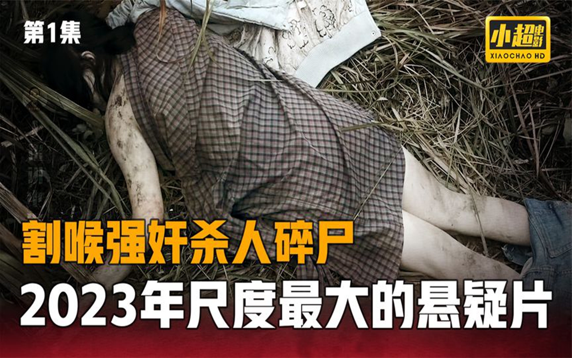 2023年尺度最大悬疑片:白银奸杀案南大碎尸案,毫不避讳拍出来了哔哩哔哩bilibili