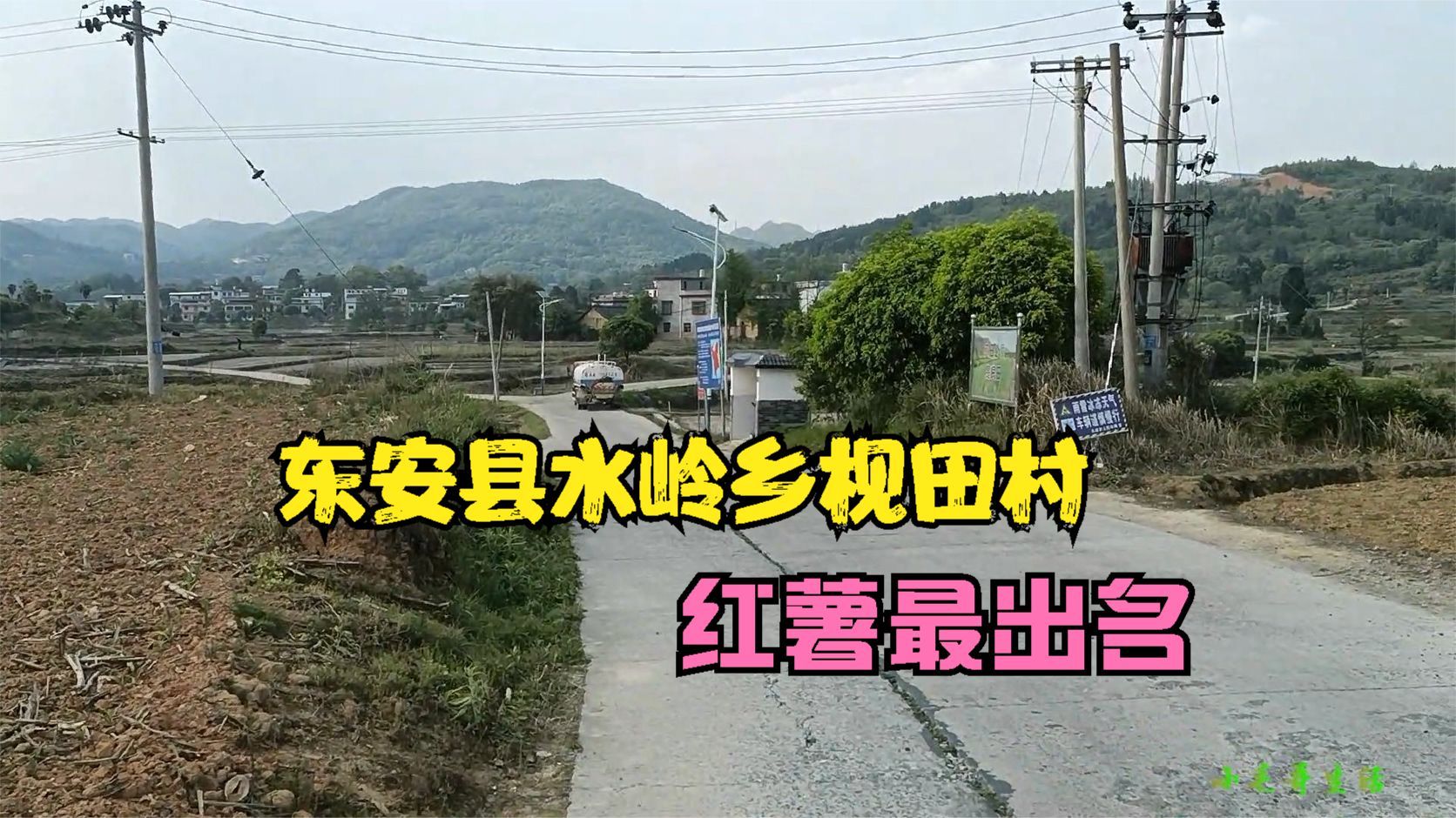 东安县水岭乡枧田村,有1条年产值过500万元的红薯产品产销链哔哩哔哩bilibili