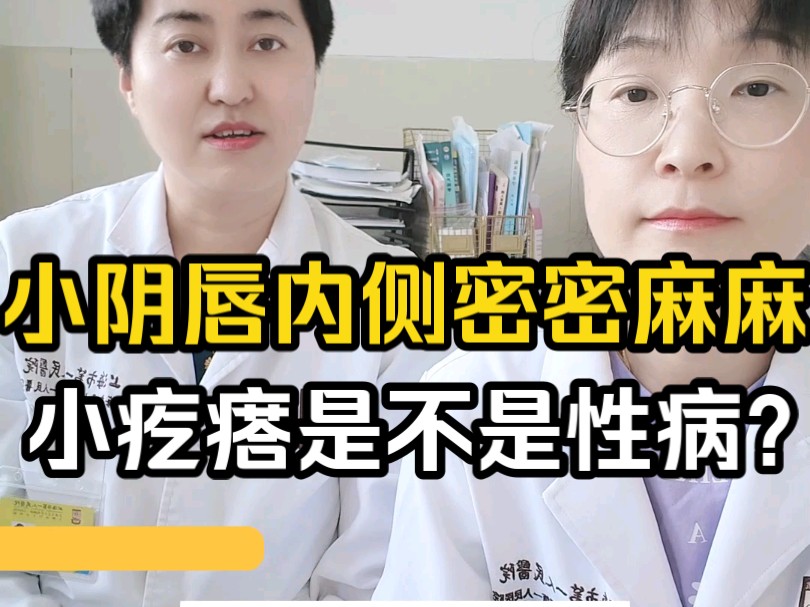 小阴唇内侧密密麻麻小疙瘩是不是性病?哔哩哔哩bilibili