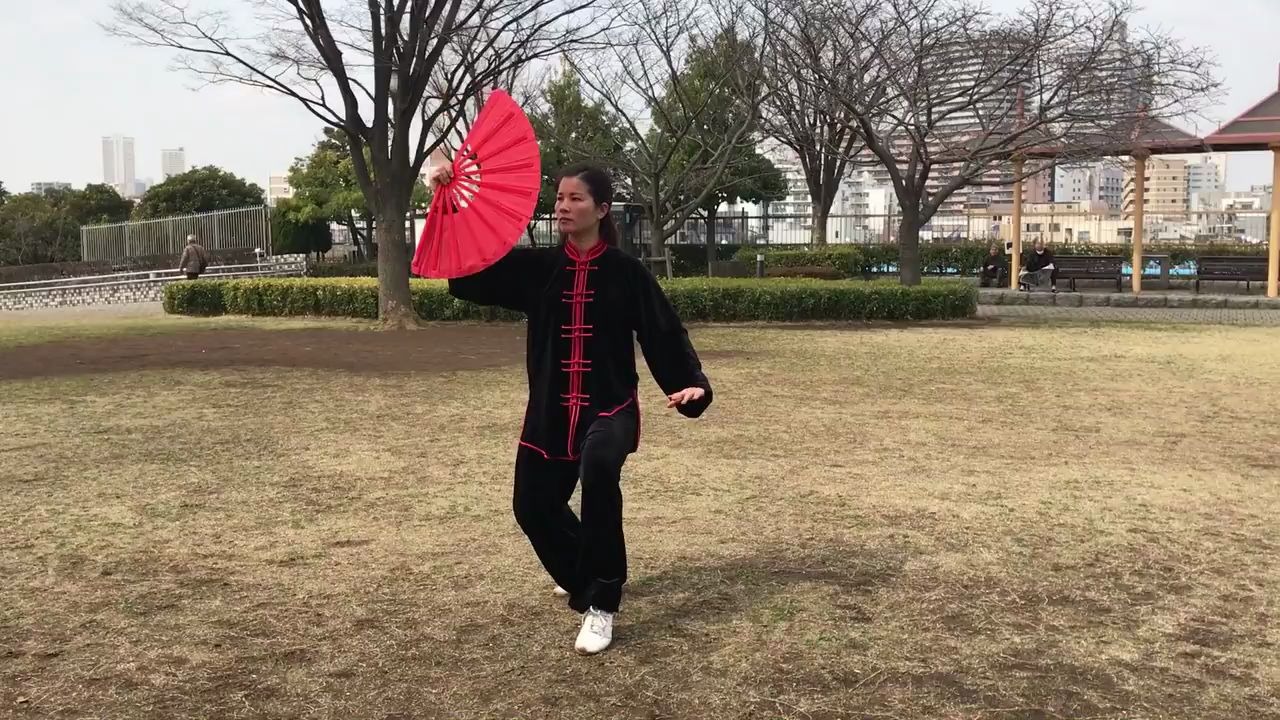 太极功夫扇演练者黄冬梅