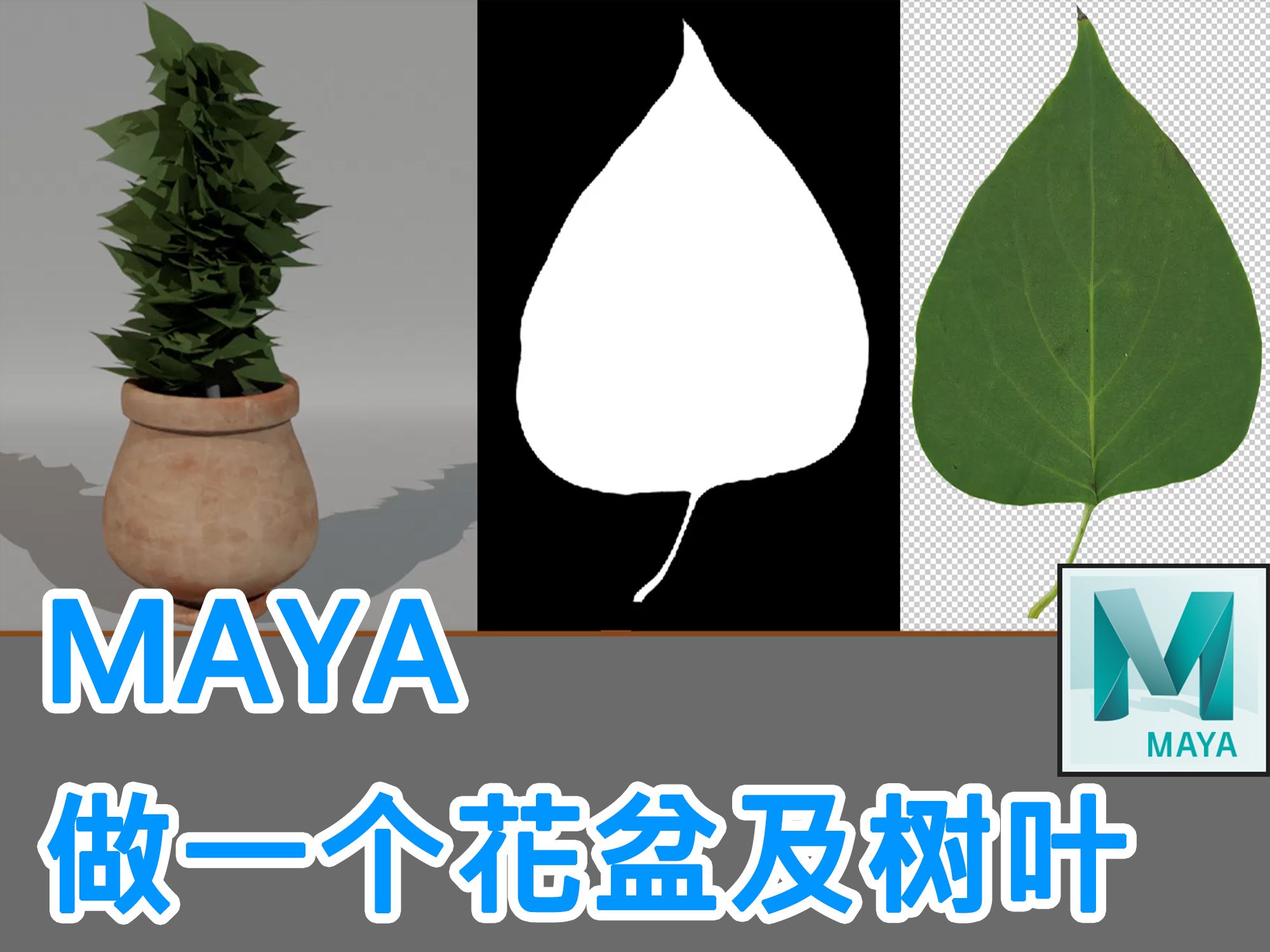 国外搬运【maya基础课程】 如何制作花盆 树叶