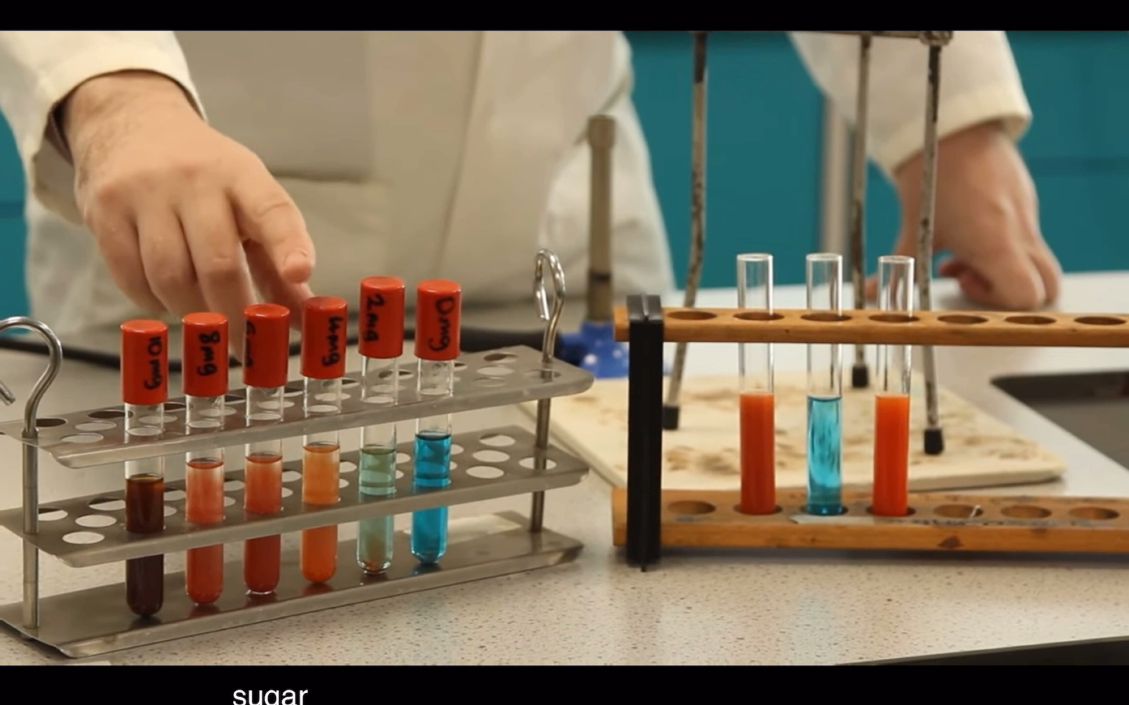 生物班氏试剂检测食物中的还原糖 | Reducing Sugars using Benedict's Reagent Demonstration哔哩哔哩bilibili