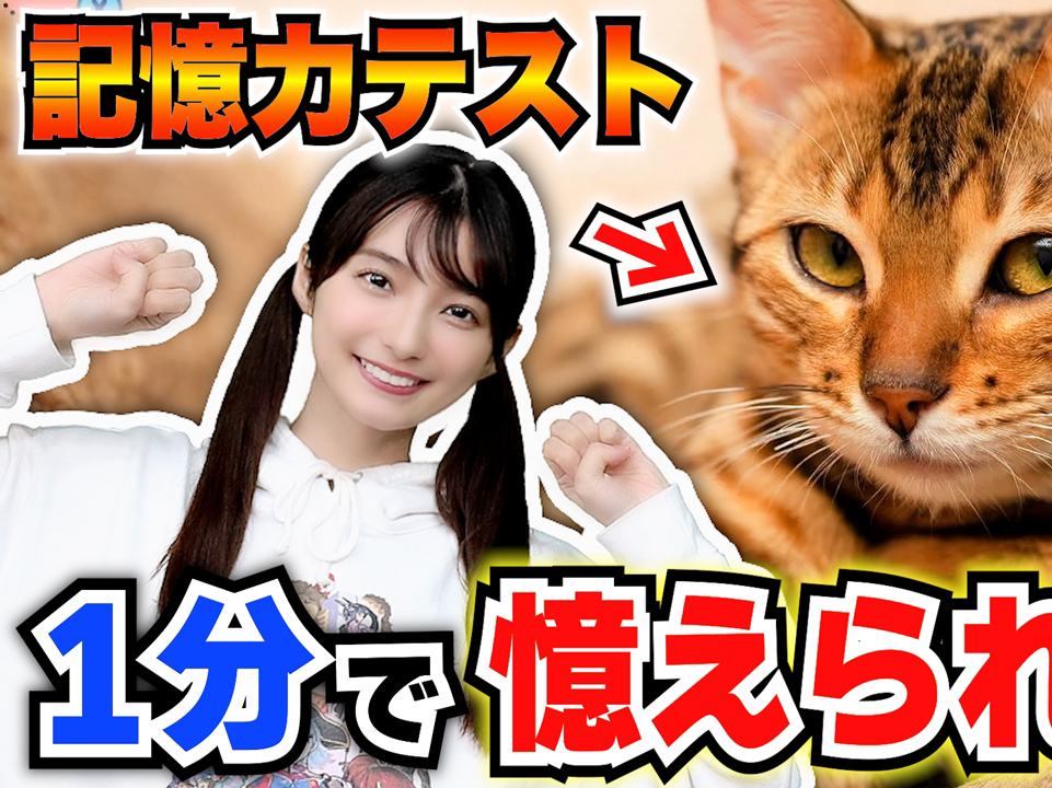 猫ガチ勢まりんかと1分でにゃんこ画像を覚える記憶力テストをやった