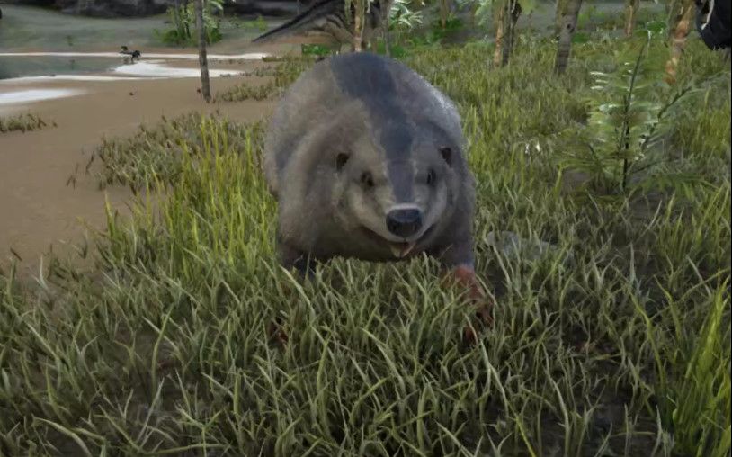 【真身不会玩】方舟 一边闲聊一边找巨河狸