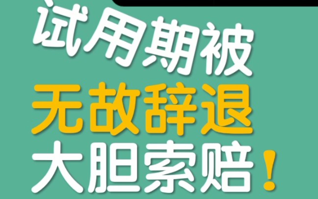 试用期无故辞退,必须赔偿1个月工资!哔哩哔哩bilibili