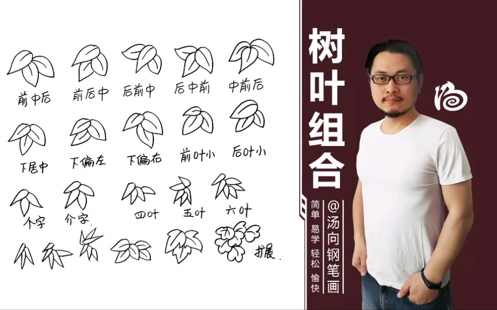 汤向钢笔画零基础手绘教程--树叶组合