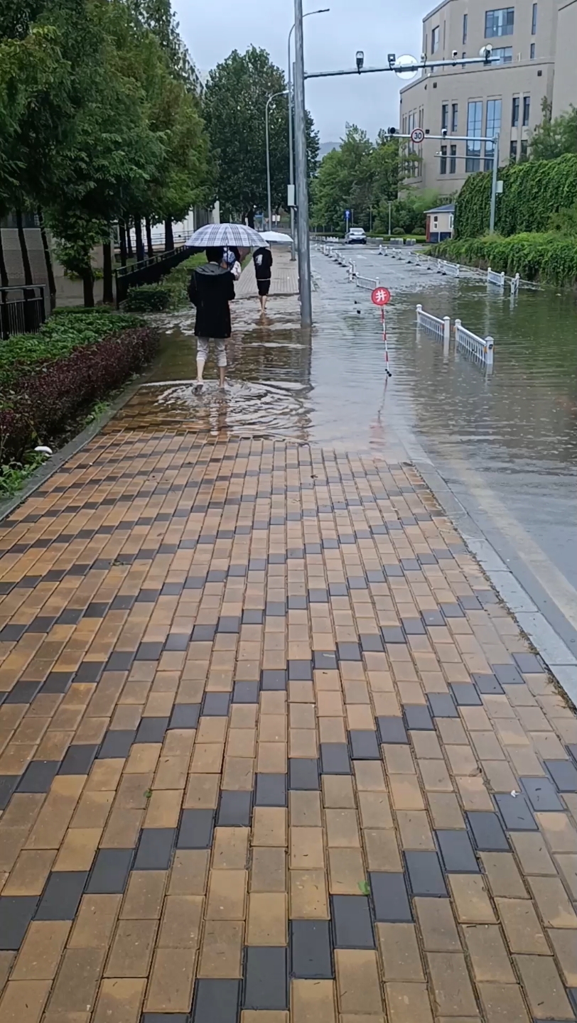 连续三天大雨后的校园积水哔哩哔哩bilibili