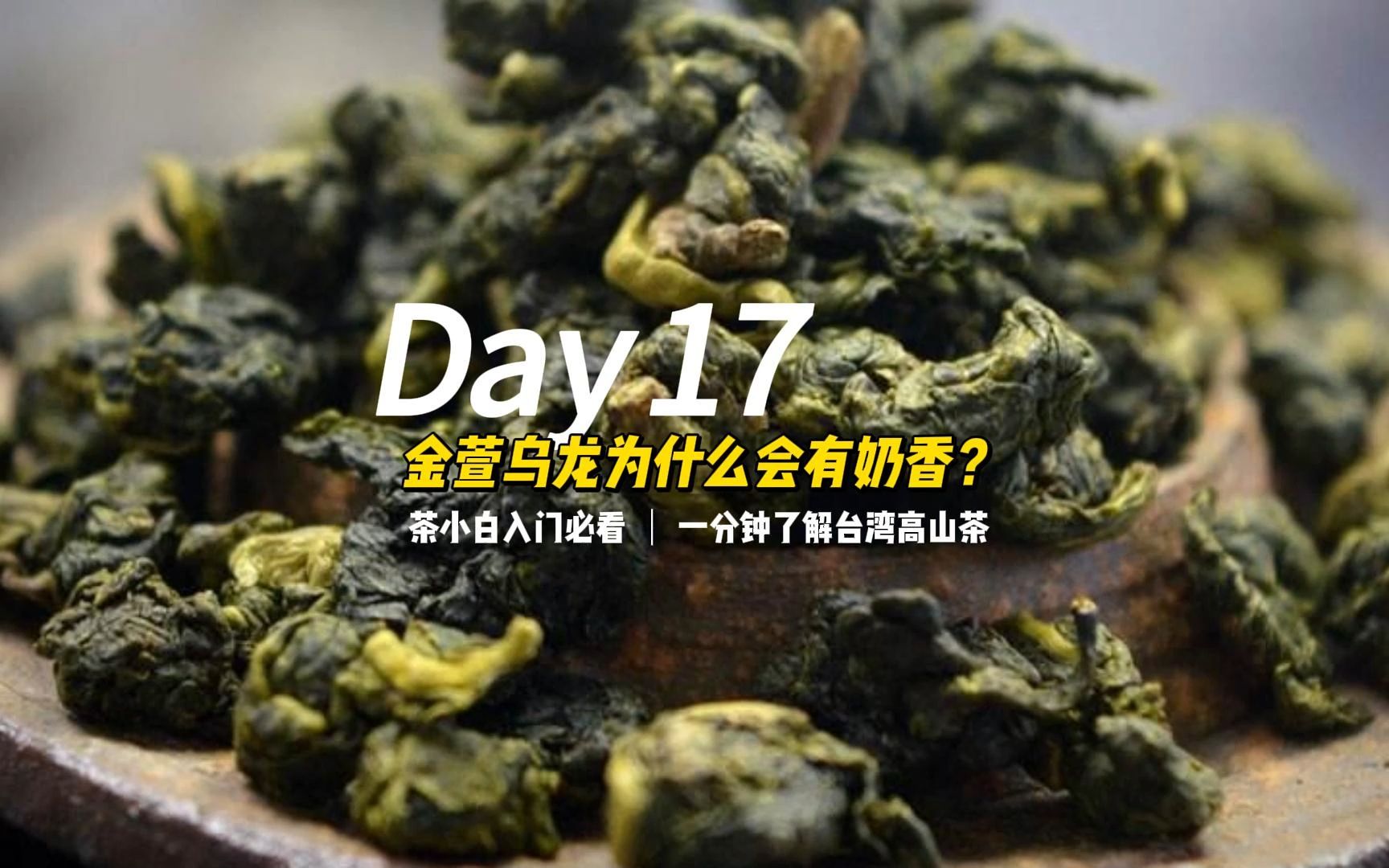 金萱乌龙为什么有奶香?