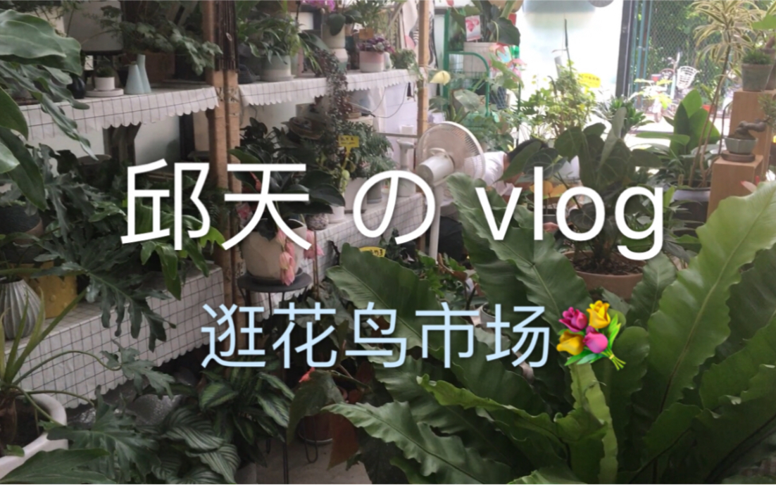 音乐与花鸟（音乐与画画的关系）《论音乐与绘画的关系》