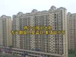 Download Video: 【入室盗窃】两小贼入室盗窃被抓，不料牵扯出五起老案件