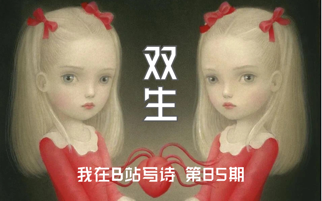 我在b站写诗第85期双生你是我一卵双生的姊妹