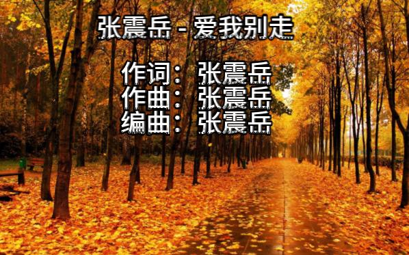 张震岳 - 爱我别走