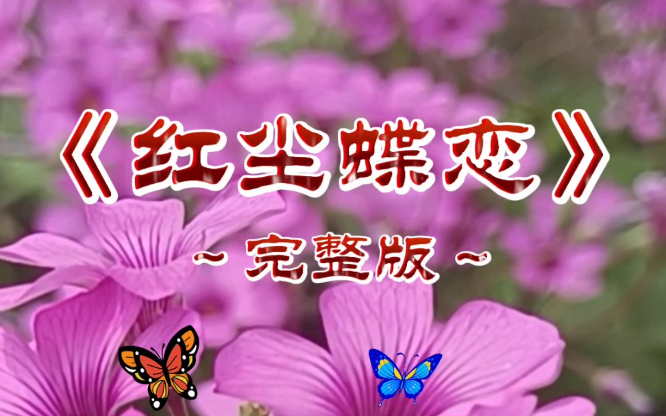 一首好听的情歌《红尘蝶恋》送给你!