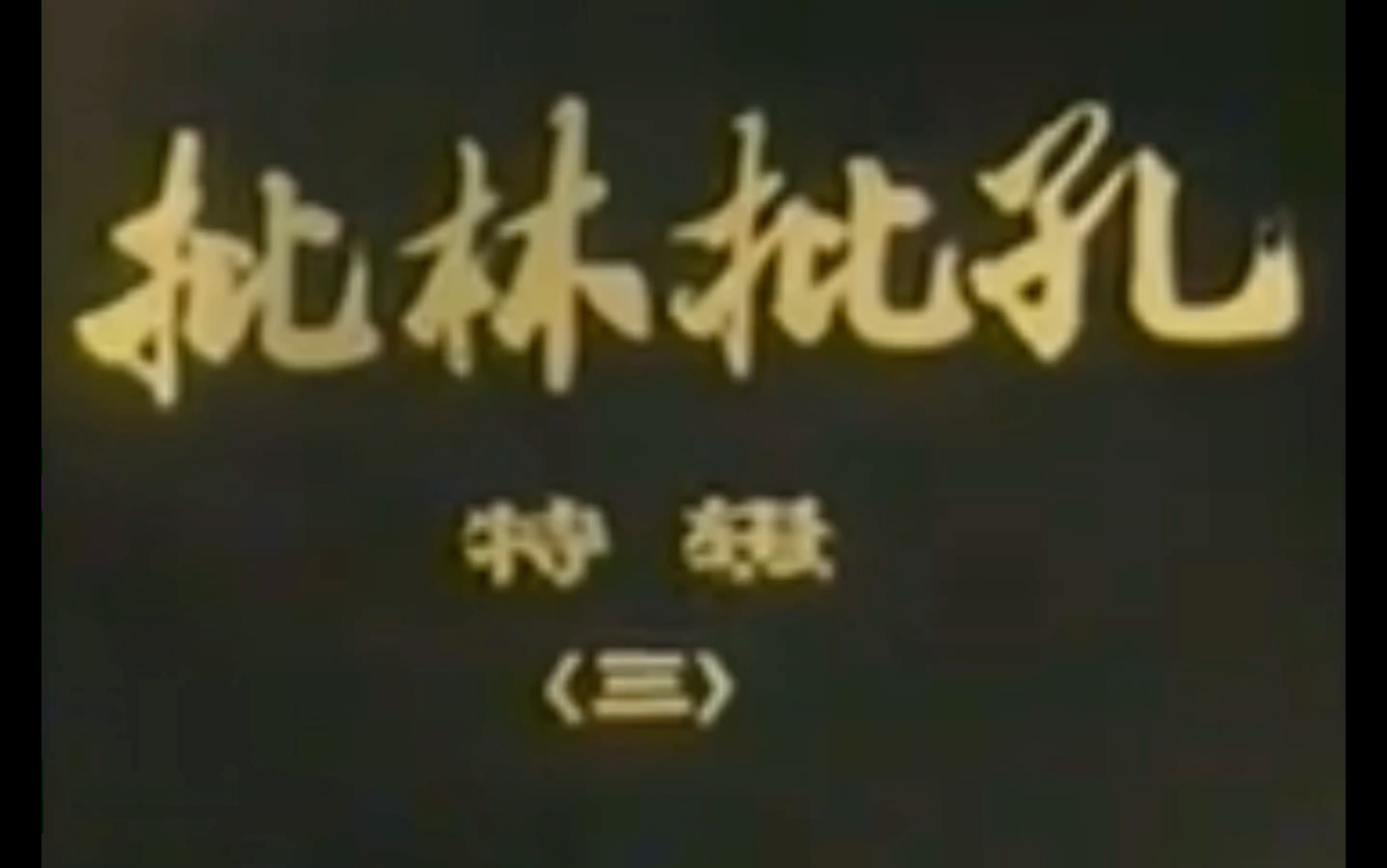 孔府纪录片《批林批孔特辑》【三】万恶的孔府同一时期(1974)哔哩哔哩bilibili