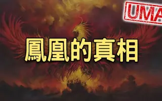 不死鸟事件 搜索结果 哔哩哔哩 Bilibili