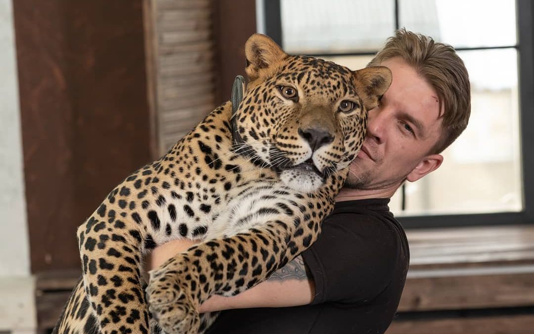 花豹凯撒的业余爱好让我很无奈