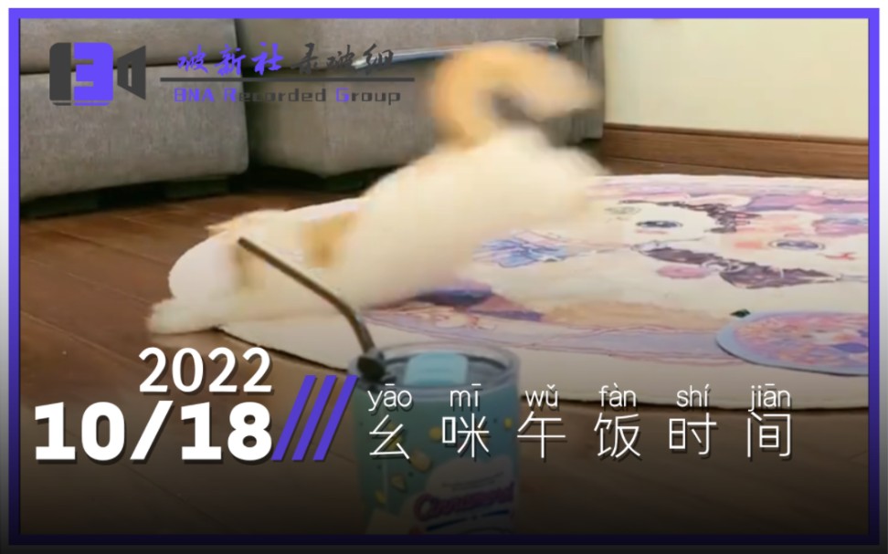 【玉桂幺幺】2022.10.18—幺咪午饭时间(直播录像)哔哩哔哩bilibili