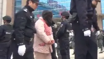 真实  押解全程直播 二十分钟完整