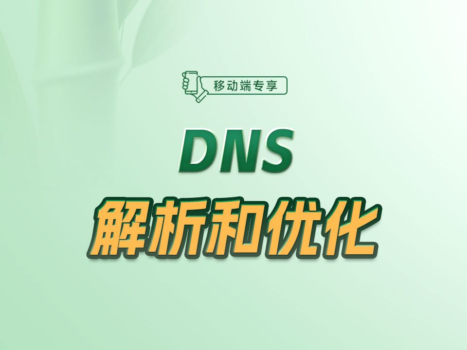 DNS解析和优化【渡一教育】哔哩哔哩bilibili