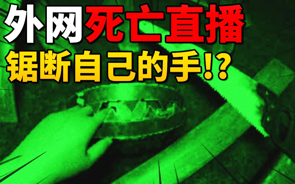 [图]【半夏】外网的恐怖直播！由你决定主播的生死！|恐怖游戏 FeedVid Live