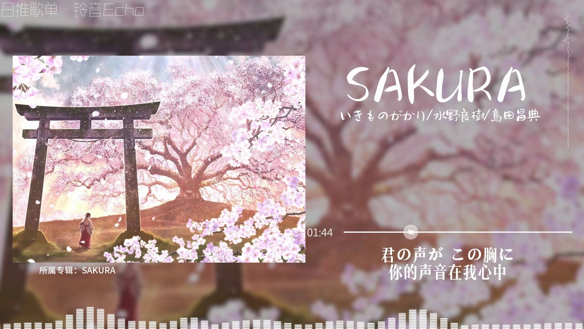 日推歌单 |《SAKURA》 樱花|“或许当樱花坠落的时候,才是它最美的样子吧”哔哩哔哩bilibili