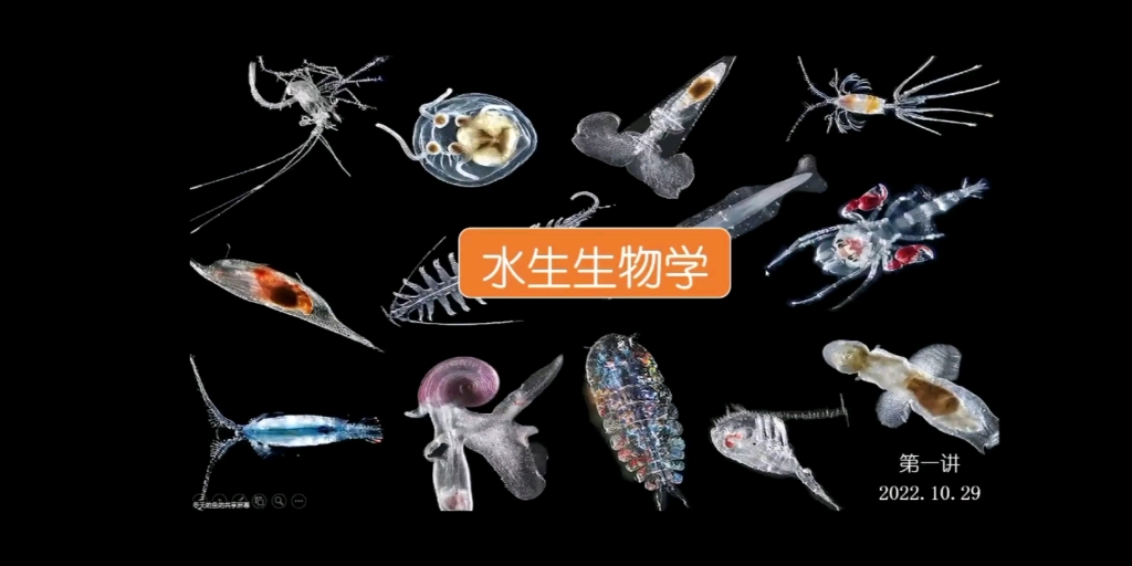 水生生物学科普丨第一节丨冬鱼老师哔哩哔哩bilibili